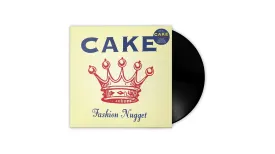 Fashion Nugget Explicit Lyrics