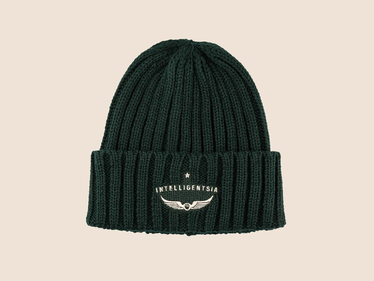 Wing Logo Beanie in Green