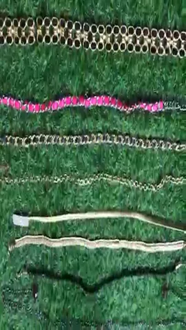 Y2K Style Belts
